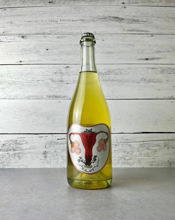 Art + Science Cider - Fruitful Pet Nat (750 mL) - Press Then Press