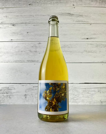 Piquenique Wines - Quince Cider 2021 (750 mL) - Press Then Press